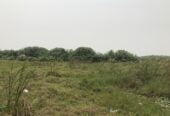 Land with Cofo Abijo Gra Lagos Nigeria