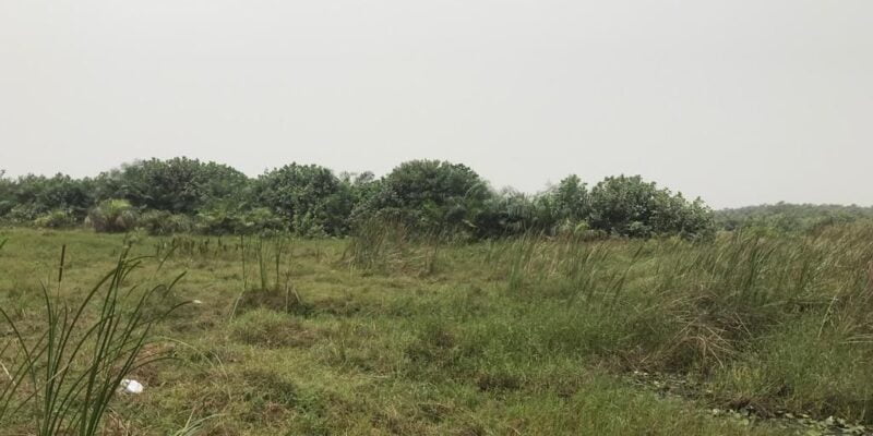 Land with Cofo Abijo Gra Lagos Nigeria