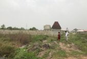 Land with Cofo Abijo Gra Lagos Nigeria