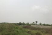 Land with Cofo Abijo Gra Lagos Nigeria