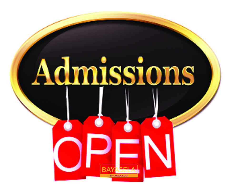 school-of-nursing-akure-2023-2024-admission-form-bayasela-buyer-seller