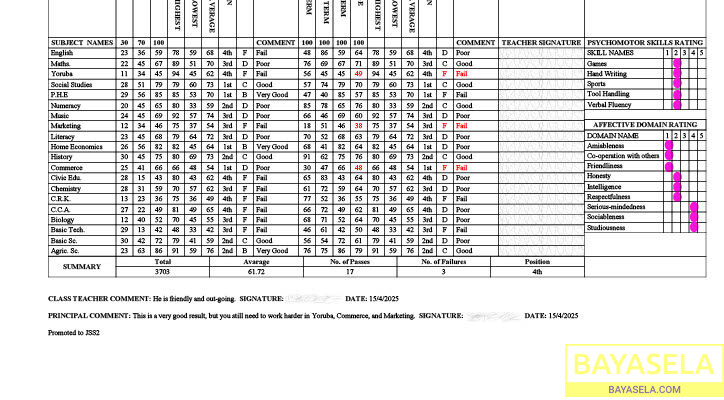 ResultSheets: School image promoting software