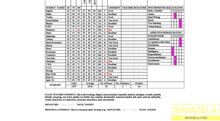 ResultSheets: School image promoting software