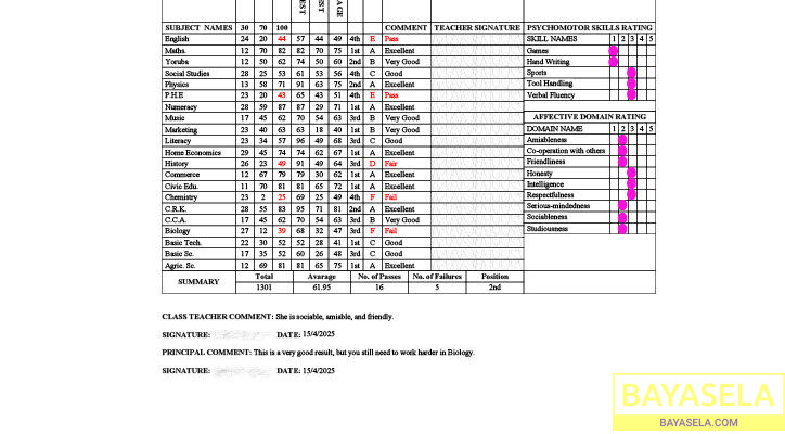 ResultSheets: School image promoting software