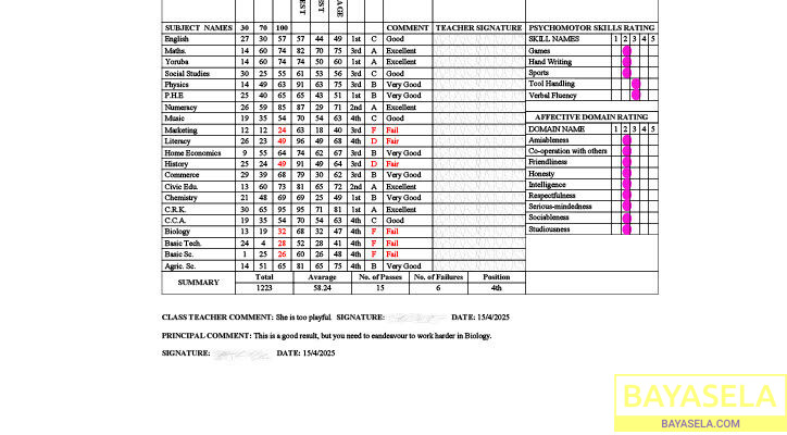 ResultSheets: School image promoting software