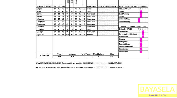 ResultSheets: School image promoting software