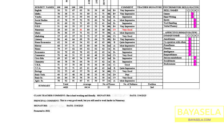 ResultSheets: School image promoting software