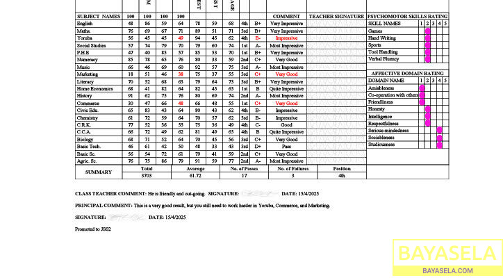 ResultSheets: School image promoting software