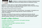 Ght Myco balance