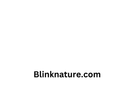 blinknature.com-2