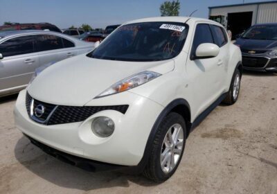 2011-NISSAN-JUKE-S-1g2